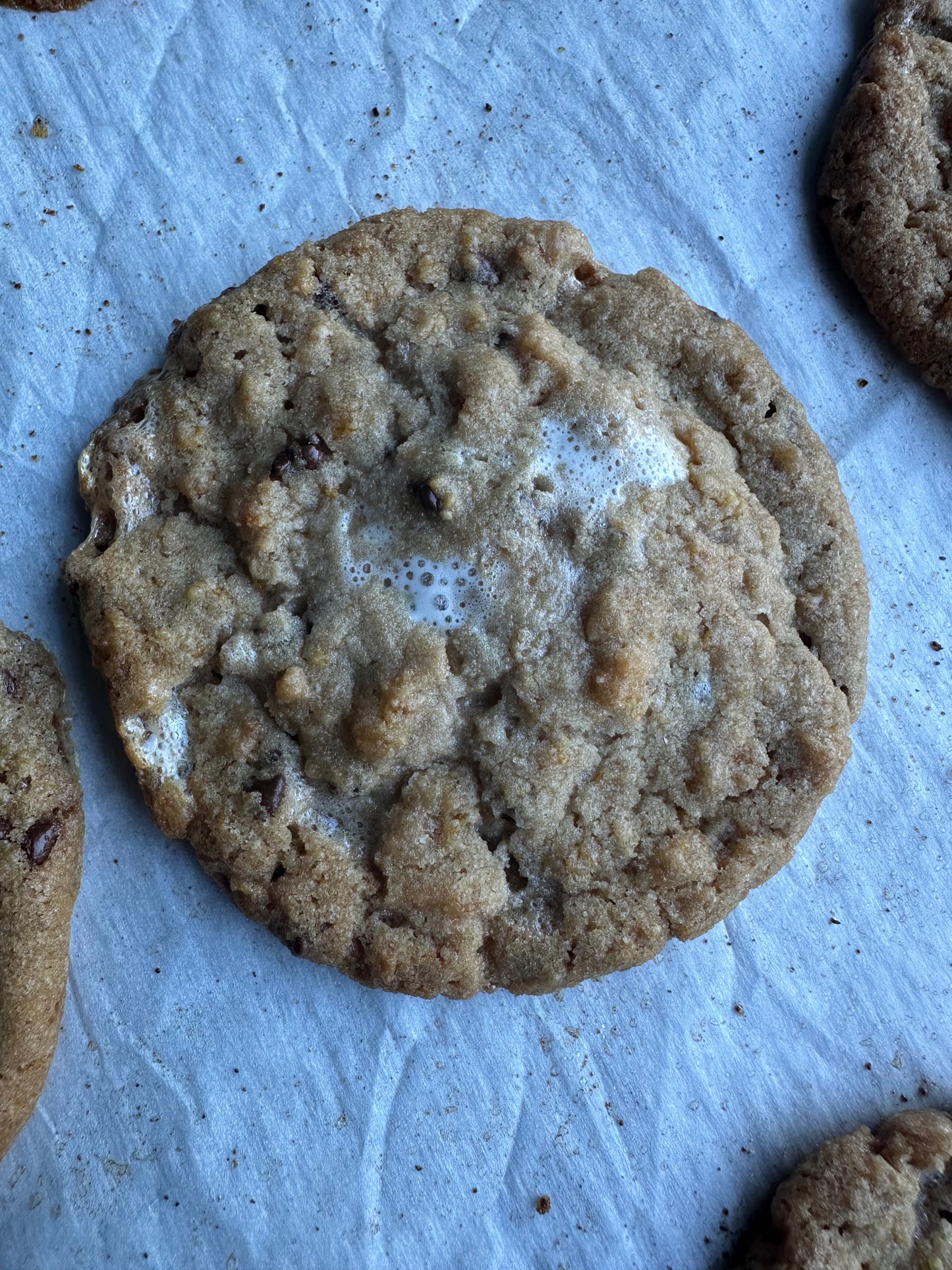 Cornflake Chocolate Chip Marshmallow Crunch Cookie