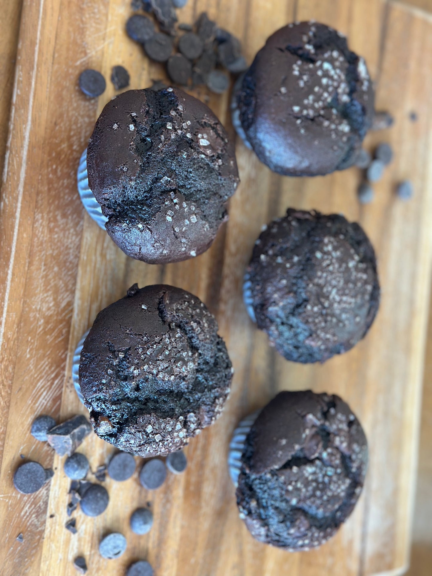 Chocolate Breakfast Muffin