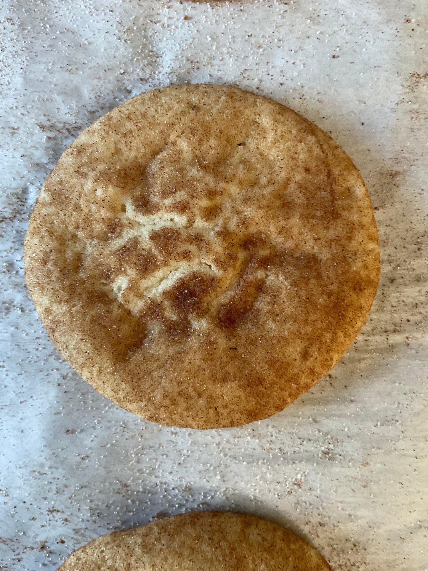 Snickerdoodle Cookie